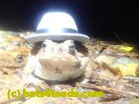 /home//u458753944/public_html/sourcegallery//McKaig Nature Center/2024-09-27/P9271607.JPG